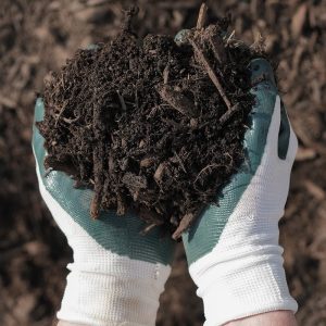 Hands with gardening gloves on holding Dark Supreme Mulch