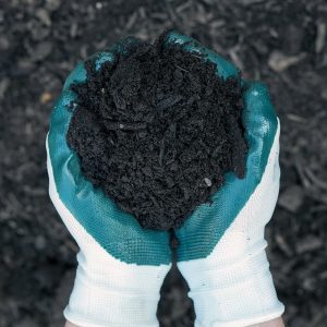 Hands with gardening gloves on holding Fert A Mulch