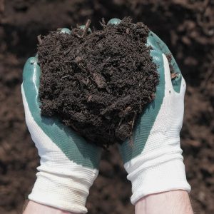 Hands with gardening gloves on holding Fresh Hardwood Gold Mulch