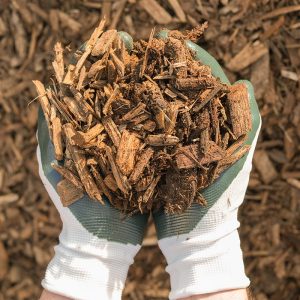 Hands with gardening gloves on holding Playground Mulch