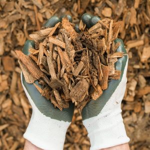 Hands with gardening gloves on holding Premium Wood Chips