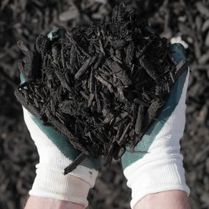 Hands with gardening gloves on holding Ravenwood Mulch