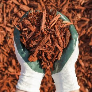 Hands with gardening gloves on holding Rosewood Mulch