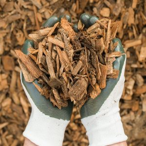 Hands with gardening gloves on holding Cedar Mulch