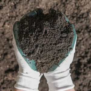 Hands with gardening gloves on holding Supersoil