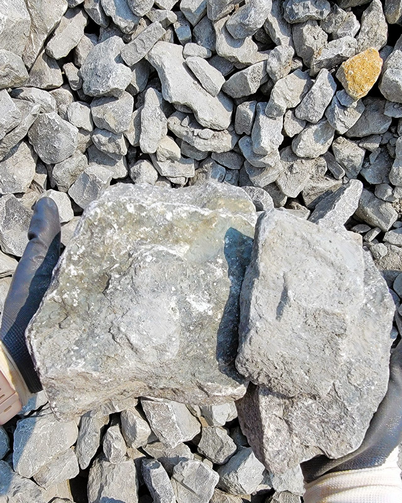 Limestone - Type D 3-9