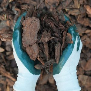 Hands with gardening gloves on holding Mini Pine Nugget Mulch